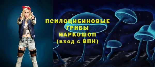 бутират Медногорск