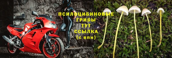 бутират Медногорск