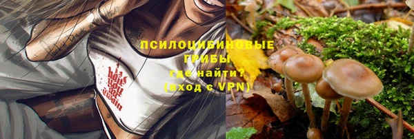 бутират Медногорск