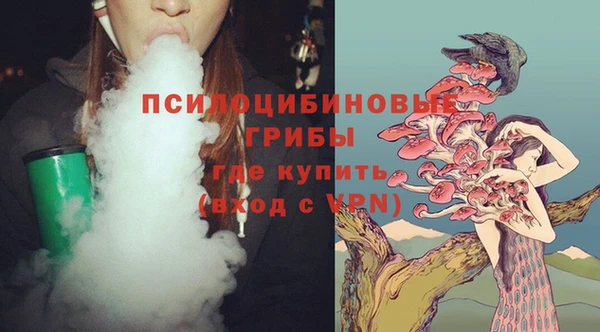 альфа пвп Медвежьегорск
