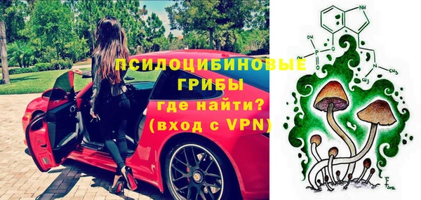 альфа пвп Медвежьегорск