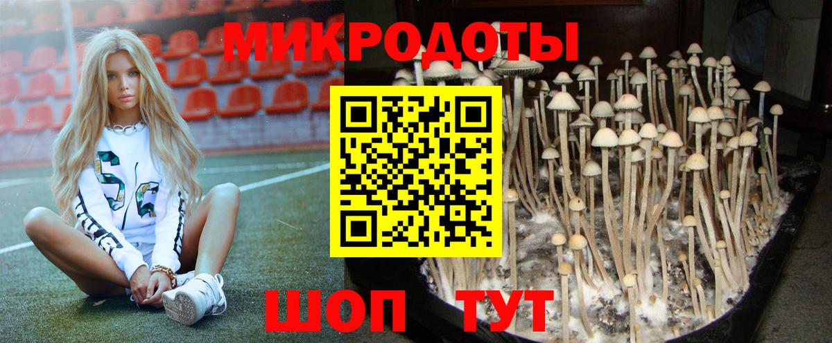 Псилоцибиновые грибы Psilocybine cubensis Новочебоксарск