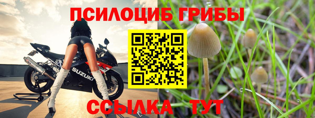 Новочебоксарск  закладки  Вход с VPN  Галлюциногенные грибы прущие грибы 
